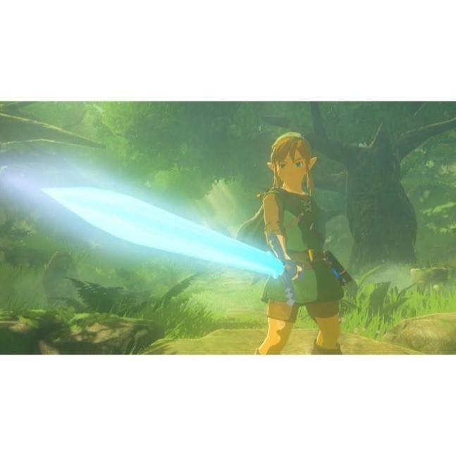 【兩隻臘腸】免運 NS Switch 薩爾達傳說 曠野之息 中文版 荒野之息 遊戲片全新未拆 限定版 薩爾達 DLC-細節圖7