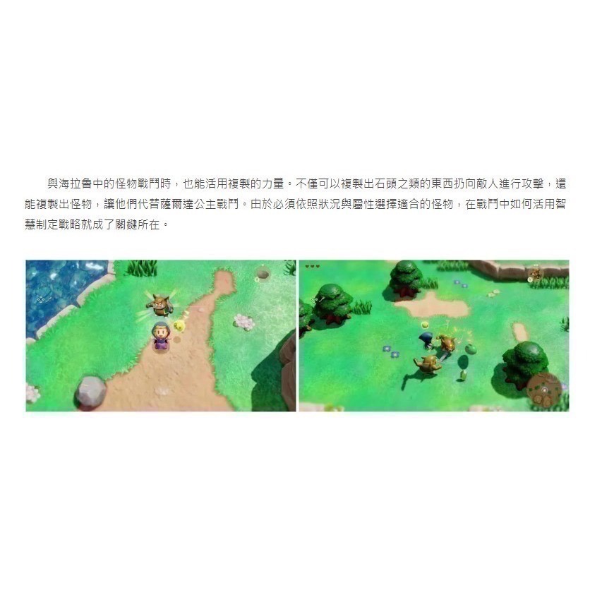 【兩隻臘腸】現貨 遊戲片 NS 《薩爾達傳說 智慧的再現 》台南電玩-細節圖4