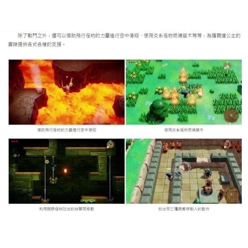 【兩隻臘腸】現貨 遊戲片 NS 《薩爾達傳說 智慧的再現 》台南電玩-細節圖5