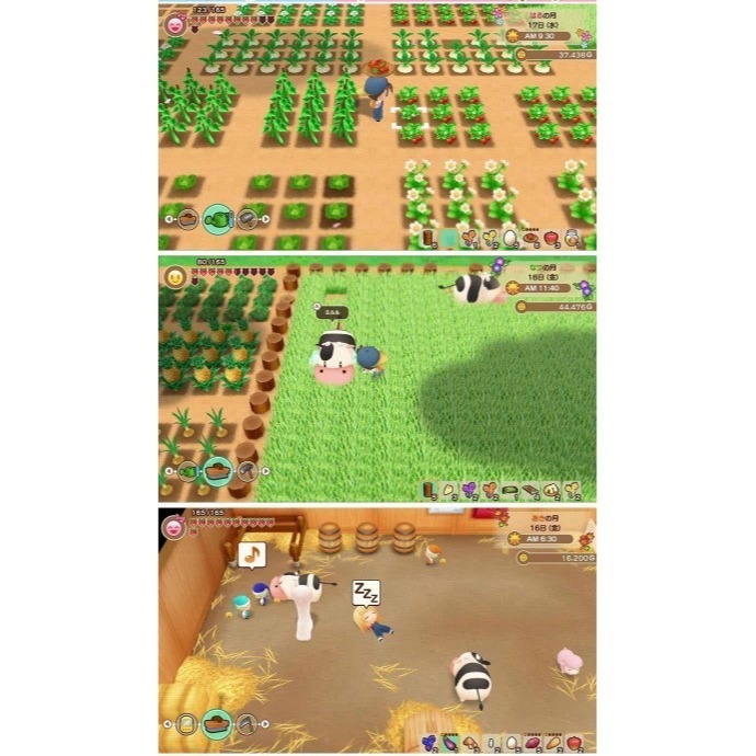 【兩隻臘腸】現貨 免運 NS Switch 牧場物語 重聚礦石鎮–中文版 遊戲片-細節圖3