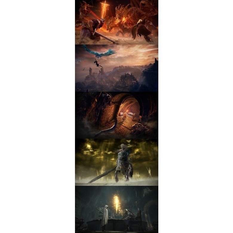 【兩隻臘腸】PS5《艾爾登法環 黑夜君臨》 一般中文版-2025-05-30發售 遊戲片-細節圖2