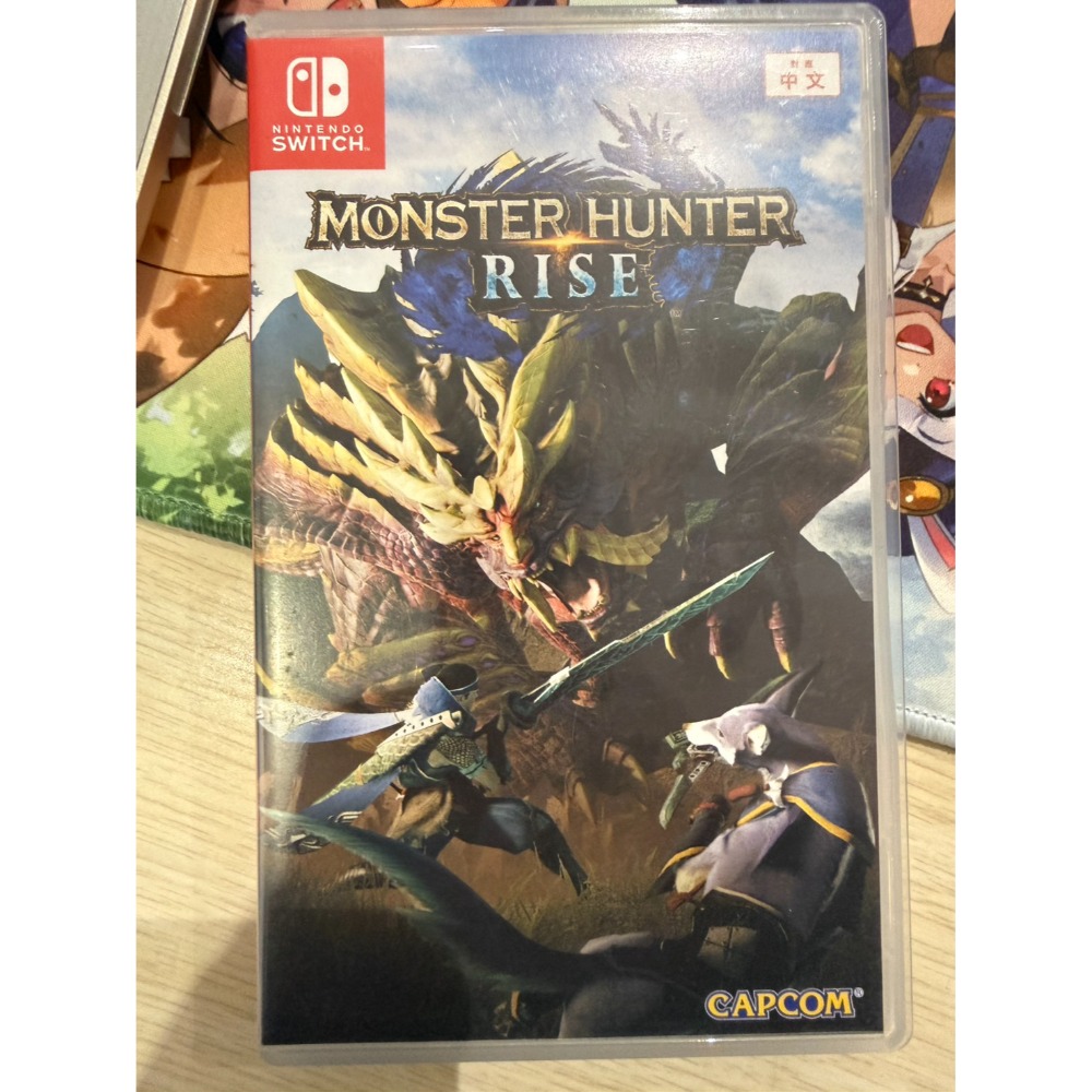 【兩隻臘腸】NS 二手遊戲片 現貨 精選二手片 無盒 中古 二手 遊戲片 NS PS4 PS5 SWITCH 任天堂-規格圖1