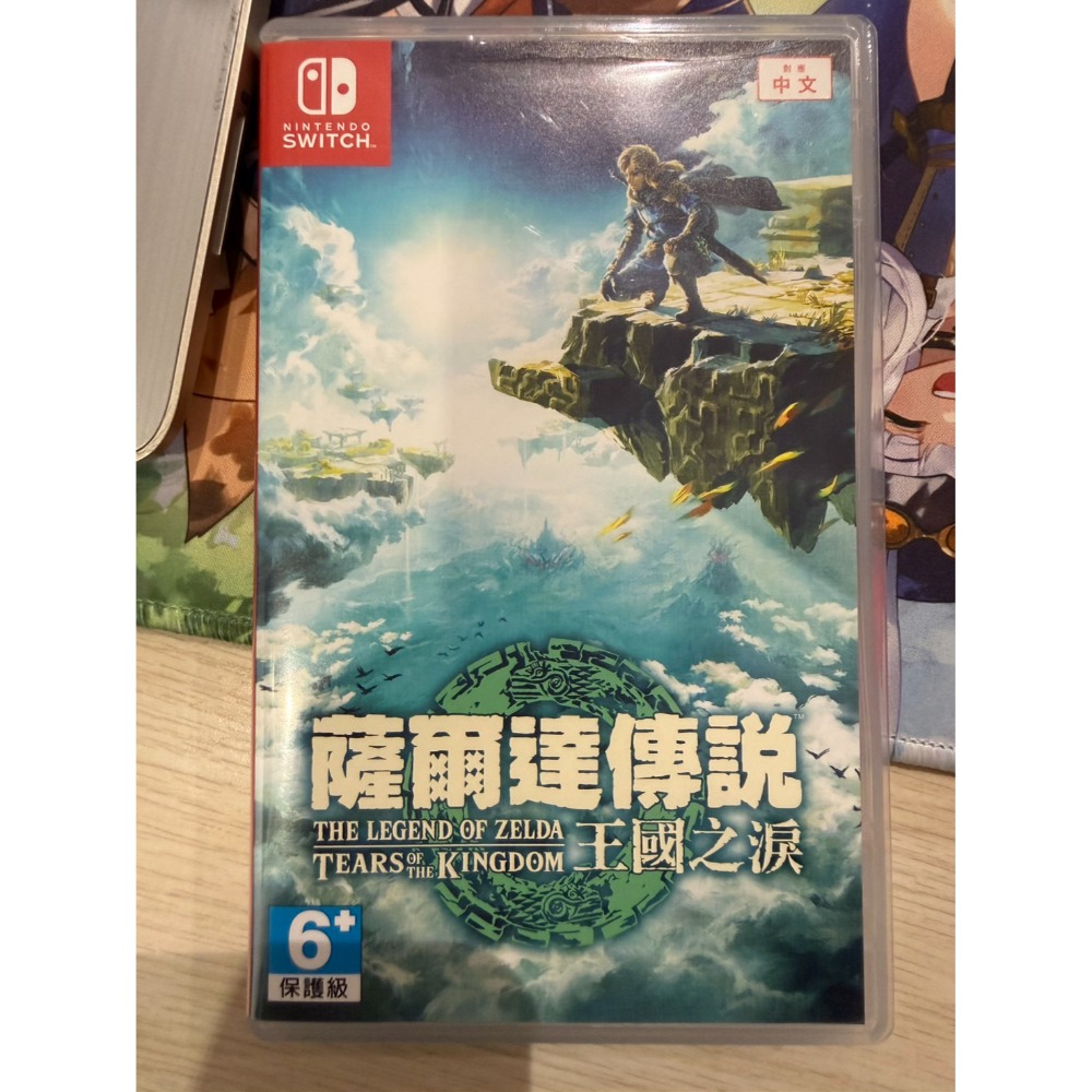 【兩隻臘腸】NS 二手遊戲片 現貨 精選二手片 無盒 中古 二手 遊戲片 NS PS4 PS5 SWITCH 任天堂-規格圖1
