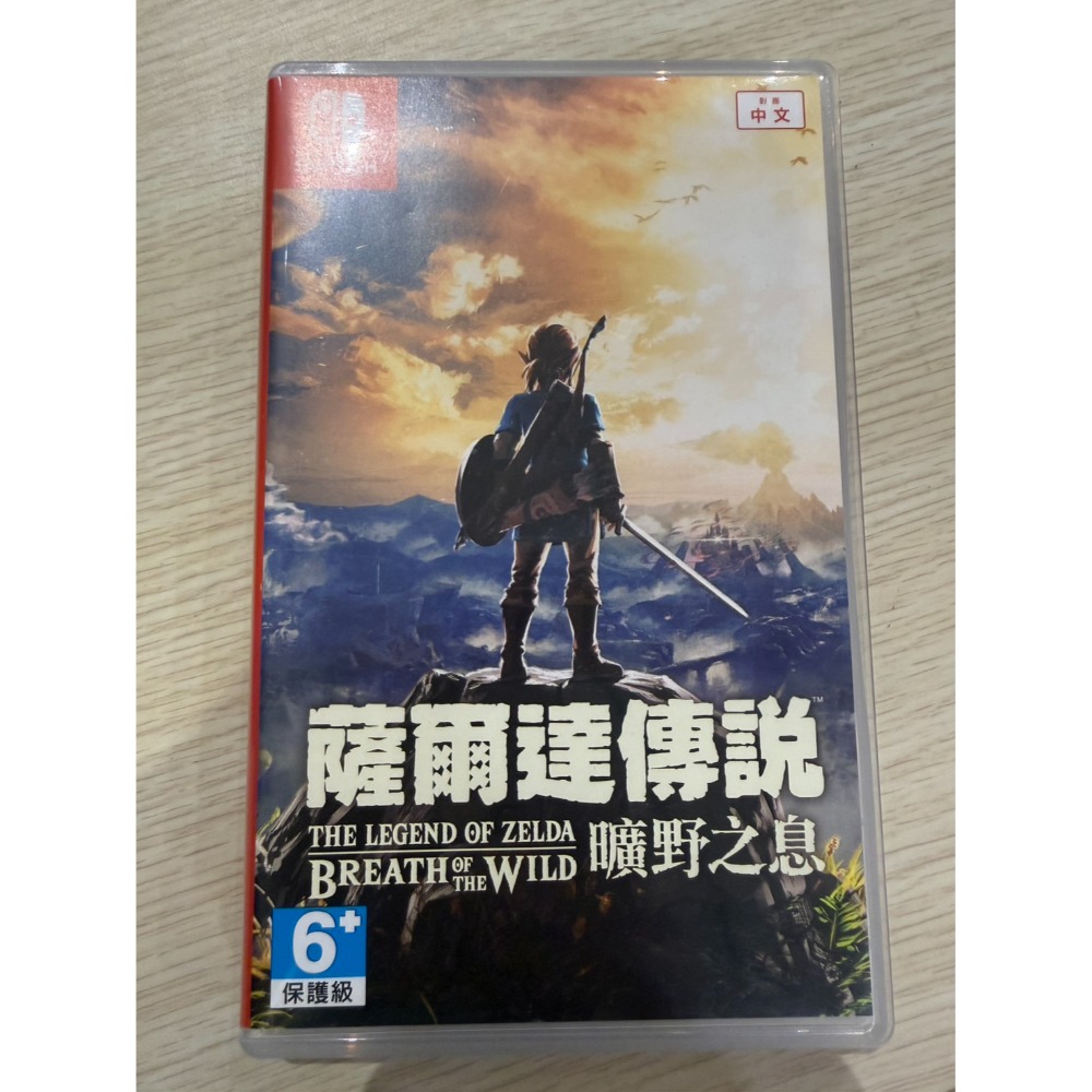 【兩隻臘腸】NS 二手遊戲片 現貨 精選二手片 無盒 中古 二手 遊戲片 NS PS4 PS5 SWITCH 任天堂-規格圖1