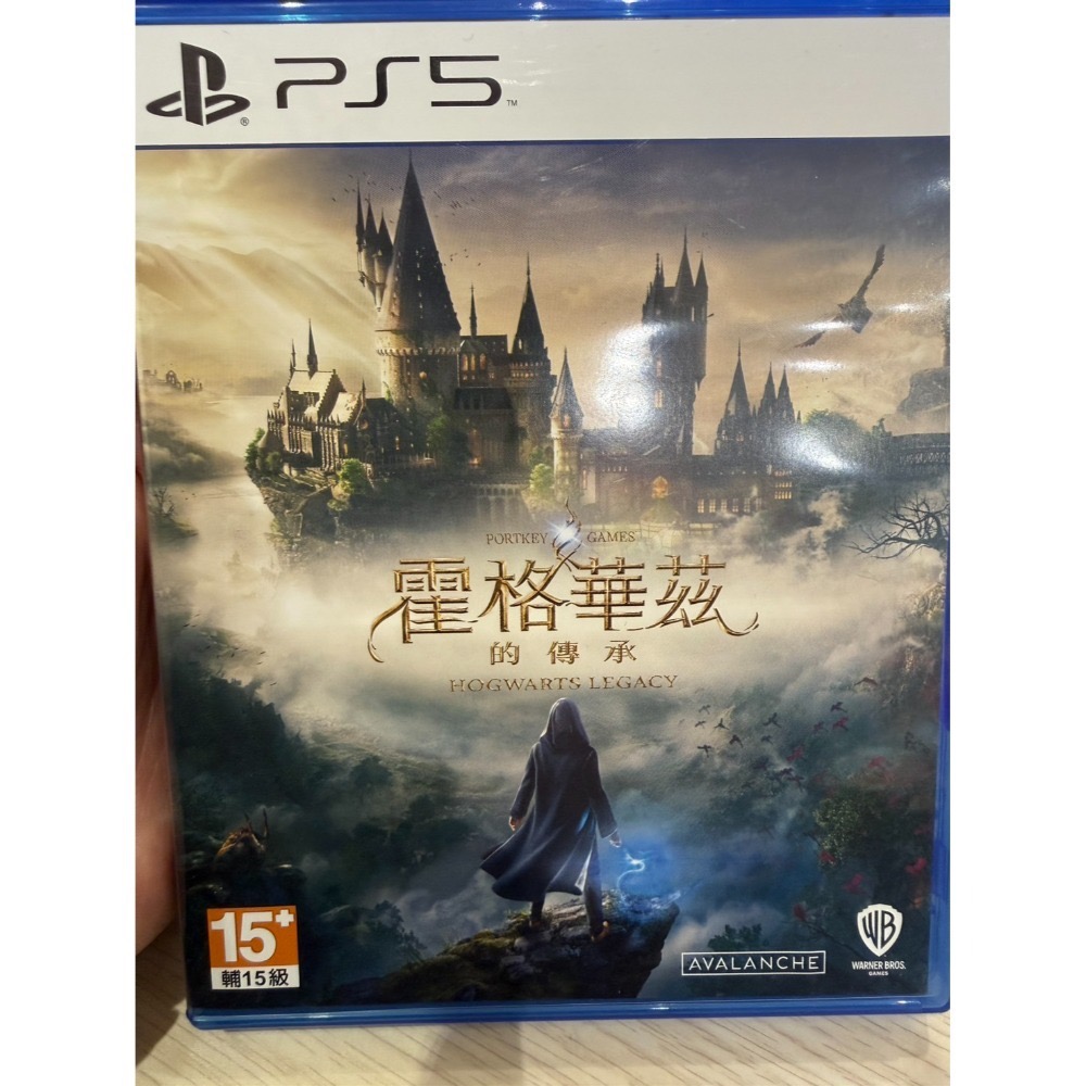 【兩隻臘腸】NS 二手遊戲片 現貨 精選二手片 無盒 中古 二手 遊戲片 NS PS4 PS5 SWITCH 任天堂-規格圖1