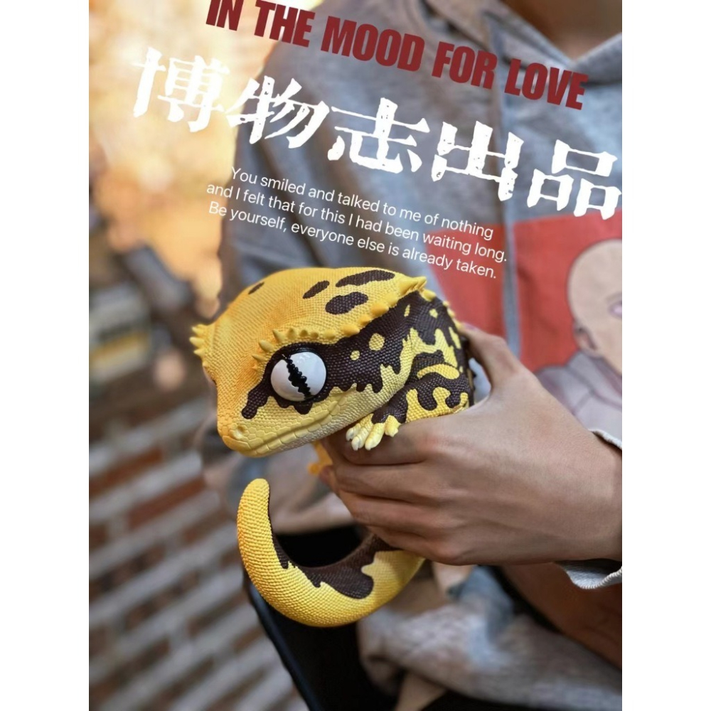 ✿AREA.TOY✿ (現貨) 博物志 守宮物語 PLUS 第二彈 棘皮瘤尾 睫角 蓋勾亞 仿真 爬蟲 模型 巨無霸-細節圖7