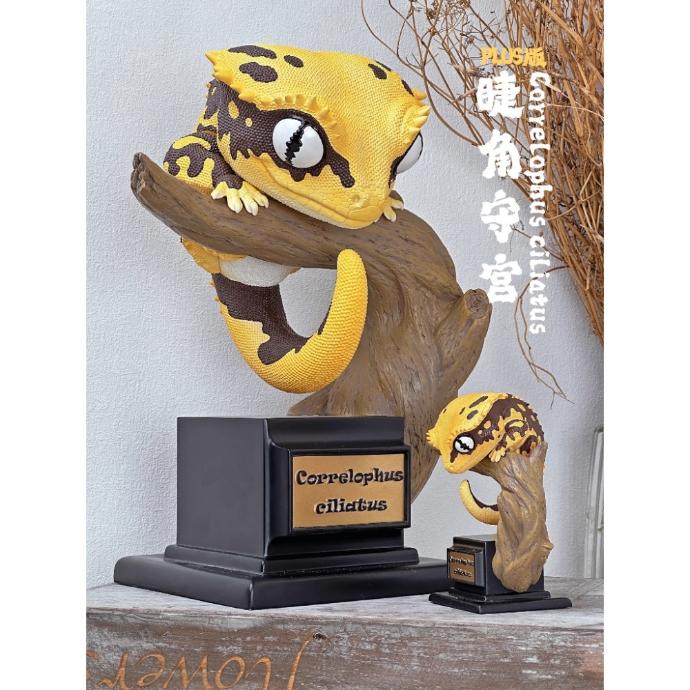 ✿AREA.TOY✿ (現貨) 博物志 守宮物語 PLUS 第二彈 棘皮瘤尾 睫角 蓋勾亞 仿真 爬蟲 模型 巨無霸-規格圖7