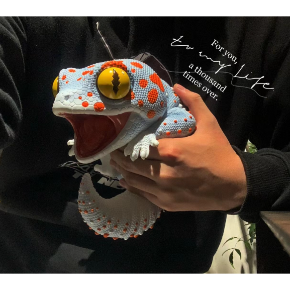 ✿AREA.TOY✿ 博物志 守宮物語 PLUS 第一彈 仿真 限定 豹紋 巨人 大守宮 爬蟲 公仔 模型 GK-細節圖6