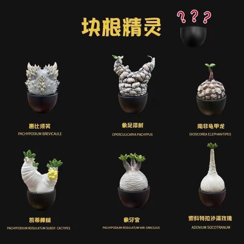 ✿AREA.TOY✿ (現貨) 博物志 塊根精靈 植潮 第一彈 塊根植物 仿真 模型 潮玩 塊根 惠比須笑 擺飾-規格圖11