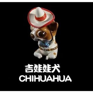 吉娃娃犬