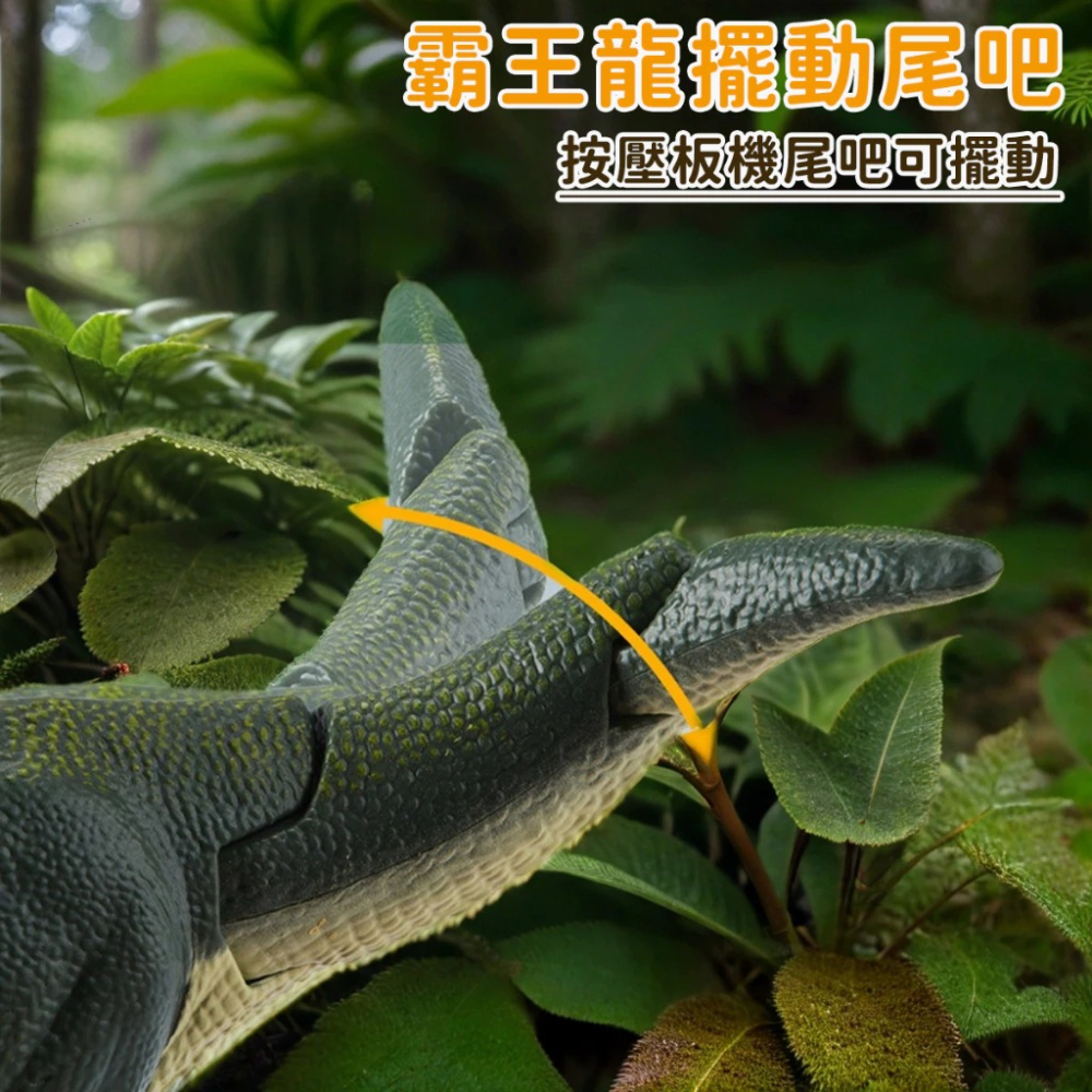✿AREA.TOY✿ 台灣現貨 按壓暴龍 帶燈光音效 仿真恐龍 兒童節 送禮聲光搖擺恐龍 大嘶吼霸王龍 搖擺恐龍-細節圖6