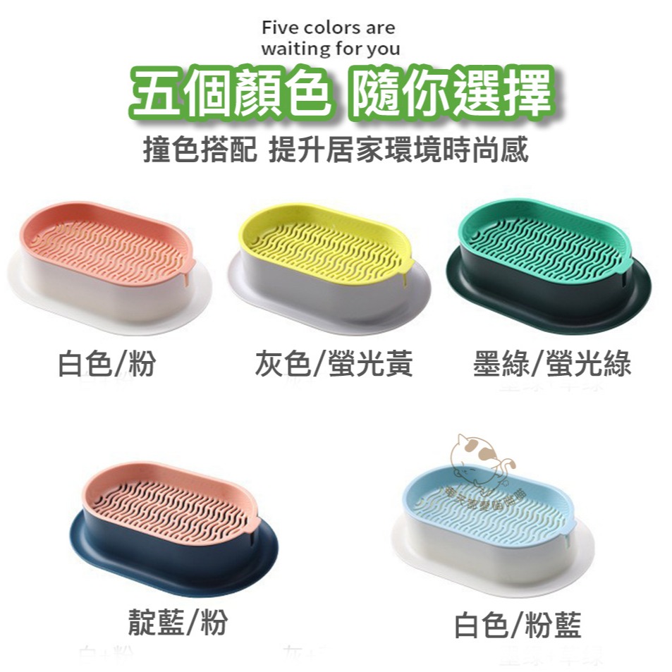 免土水培貓草DIY套組 立即發芽 五色可供選擇 種植 送優質種子3包 盆栽-細節圖5