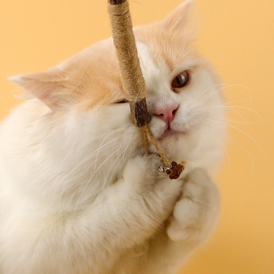 量販款 最新鮮 木天蓼 貓玩具 磨牙棒 貓大麻 啃咬 潔齒 麻繩 拉菲草 蟲櫻果