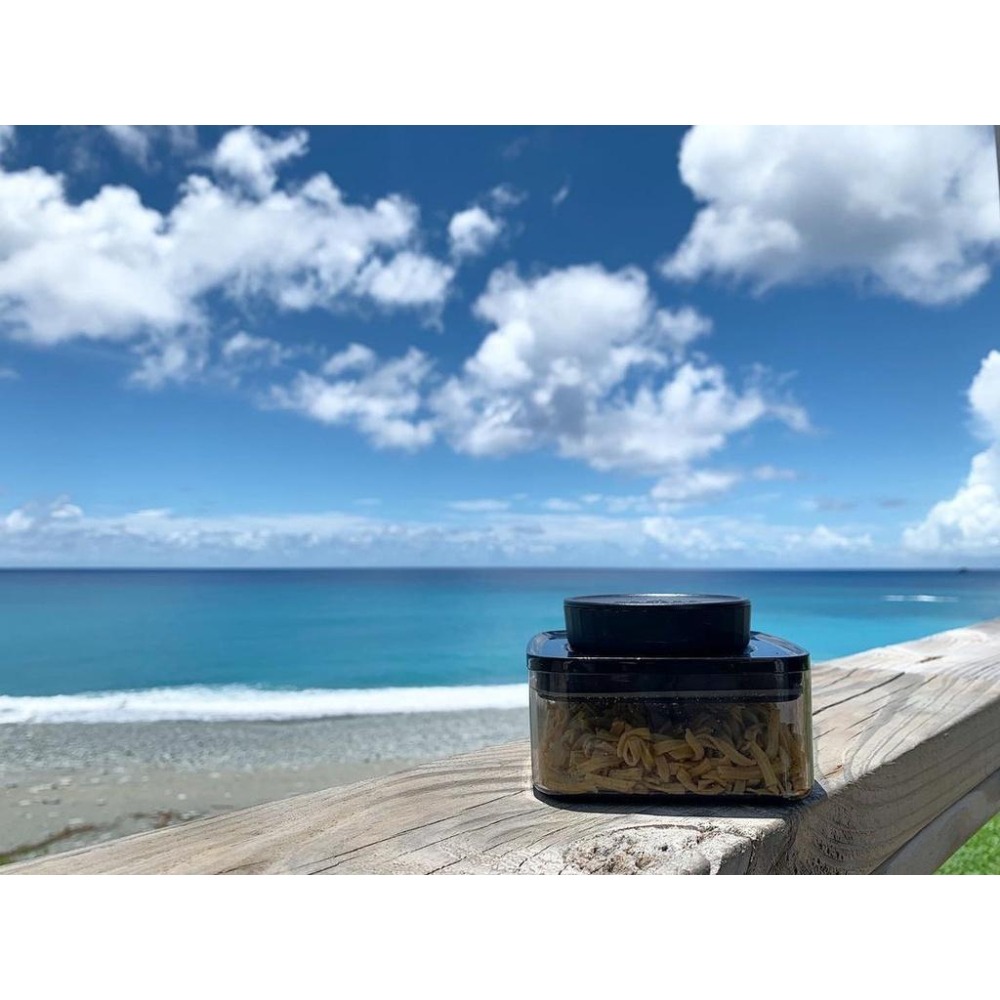 【沐湛咖啡】ANKOMN EVERLOCK 氣密保鮮罐 旋轉氣密保鮮盒/密封罐/咖啡豆罐/0.3L/0.6L/1.2L-細節圖5