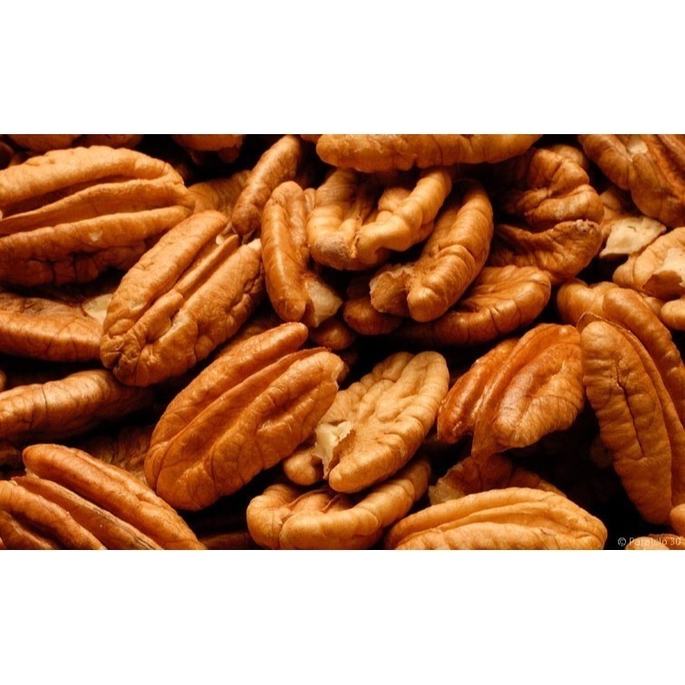 [吉田佳]B222031，精選美國加州胡桃，生胡桃，新鮮無油耗味，適做核桃吐司，餅乾，南棗核桃糕-細節圖2