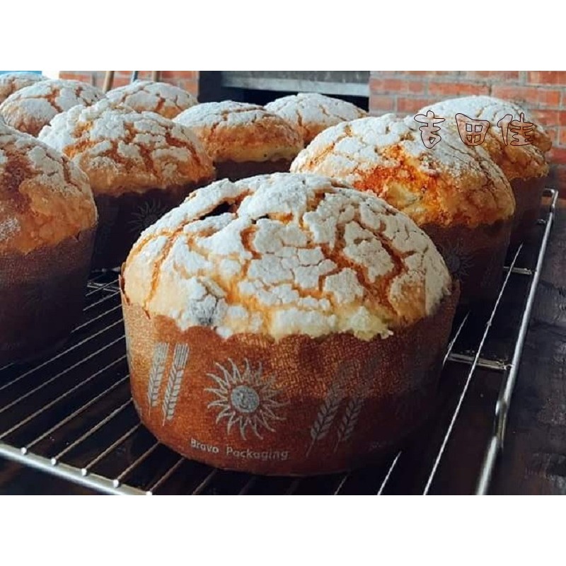 [吉田佳]B51120，哈雷杯-特大，6吋蛋糕紙模，巨蛋紙杯，瑪芬杯-細節圖2