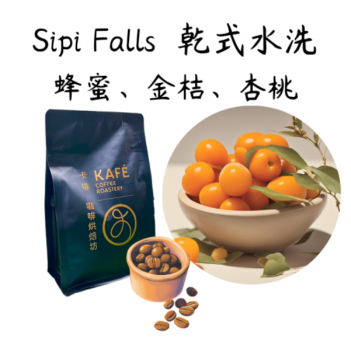 [清爽調]烏干達 Sipi Falls處理廠 乾式水洗發酵 半磅 咖啡豆
