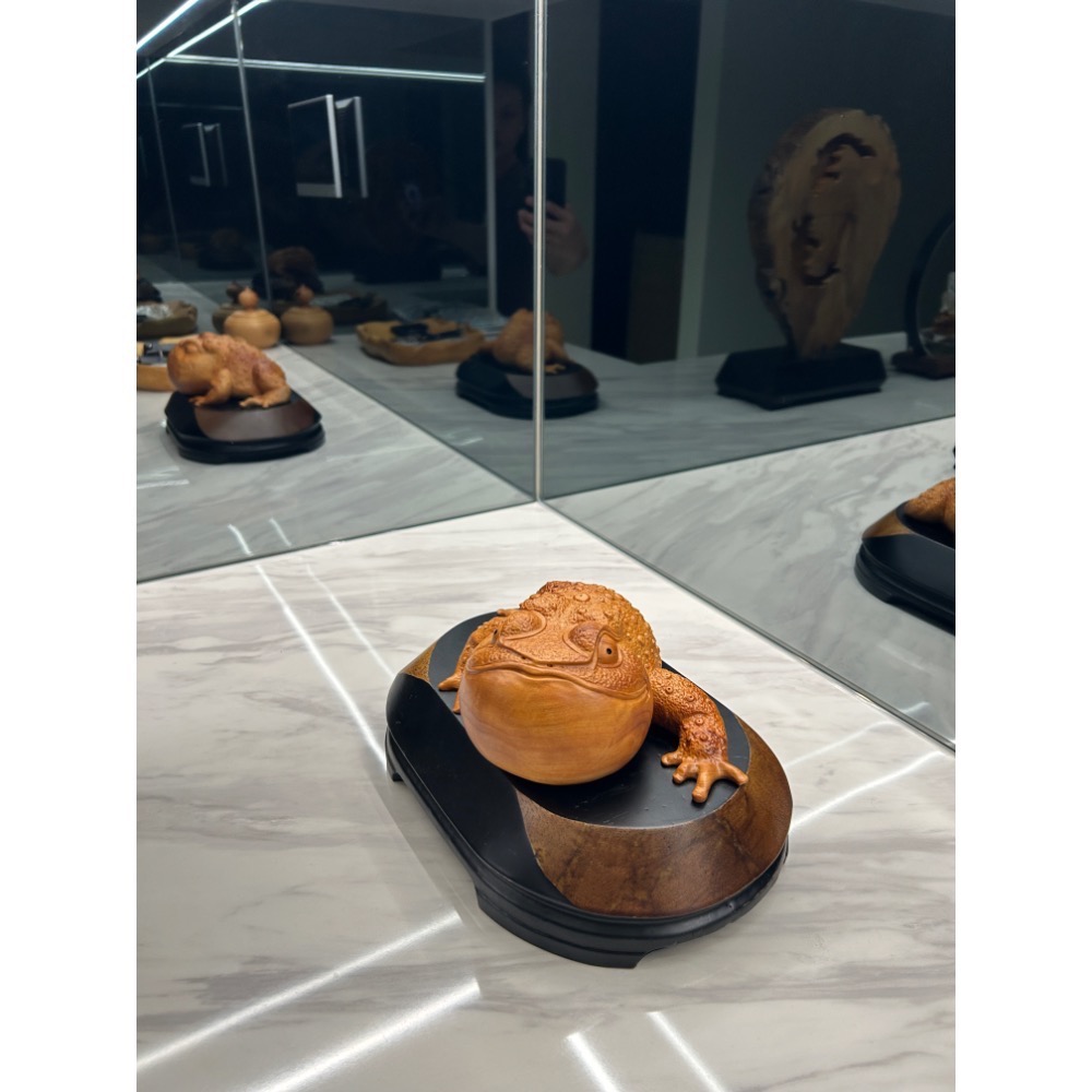 阿爸的店-金蟾蜍（萬早平大師），台灣黃檜木瘤（發財致富的關鍵）-細節圖2