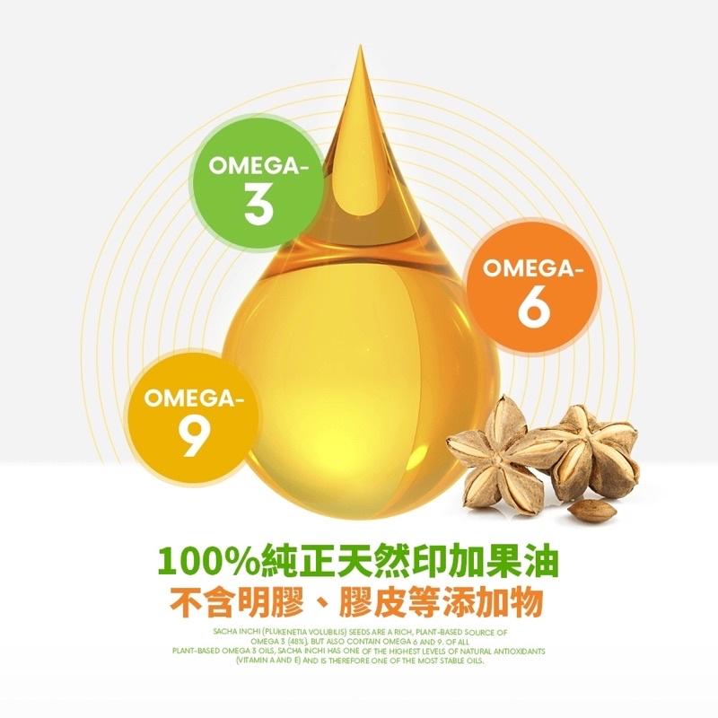 🔥現貨 特級冷壓初榨印加果油250ml 黃金比例Omega3/6/9 （SGS認證）買越多越划算（ 24H出貨）-細節圖2