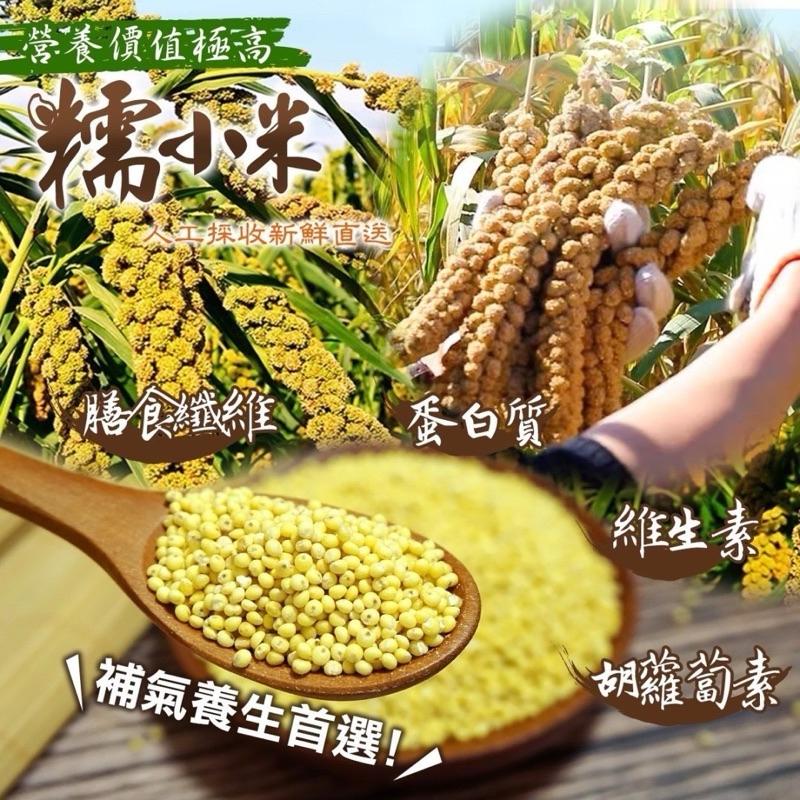 【粿女兒商行】 🔥現貨 糯小米600g 營養好味道黃金養生-細節圖4