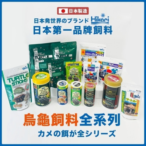 【24H出貨X日本製造】高夠力 烏龜飼料 澤龜飼料 高夠力烏龜飼料 善玉菌 hikari 烏龜 澤龜 幼龜 龜飼料 水龜