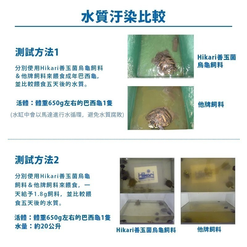 【24H出貨X日本製造】高夠力 烏龜飼料 澤龜飼料 高夠力烏龜飼料 善玉菌 hikari 烏龜 澤龜 幼龜 龜飼料 水龜-細節圖4