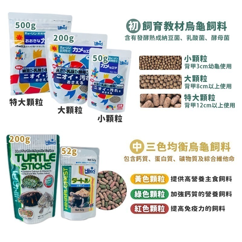 【24H出貨X日本製造】高夠力 烏龜飼料 澤龜飼料 高夠力烏龜飼料 善玉菌 hikari 烏龜 澤龜 幼龜 龜飼料 水龜-細節圖5