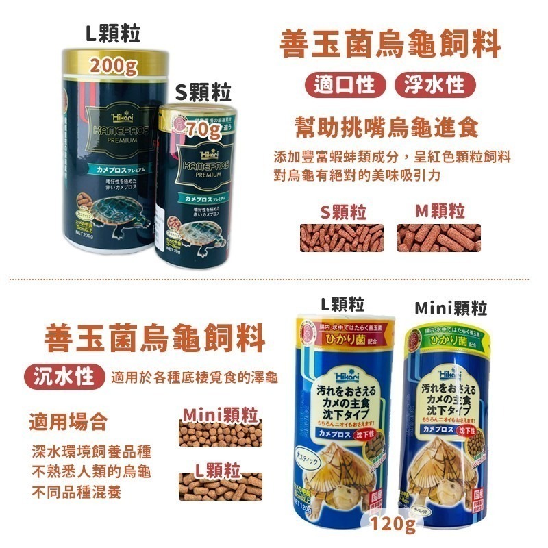 【24H出貨X日本製造】高夠力 烏龜飼料 澤龜飼料 高夠力烏龜飼料 善玉菌 hikari 烏龜 澤龜 幼龜 龜飼料 水龜-細節圖7