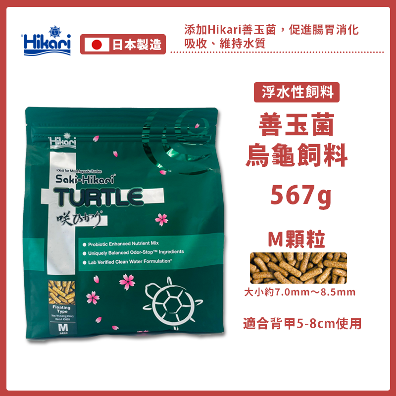 【24H出貨X日本製造】高夠力 烏龜飼料 澤龜飼料 高夠力烏龜飼料 善玉菌 hikari 烏龜 澤龜 幼龜 龜飼料 水龜-規格圖9