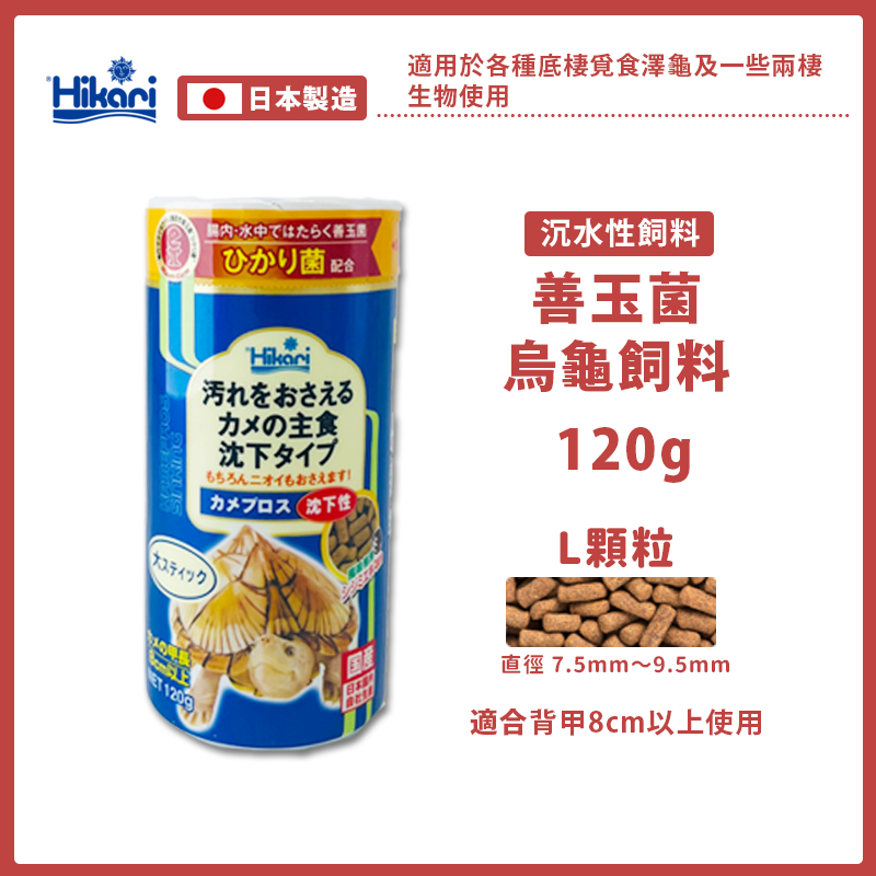 【24H出貨X日本製造】高夠力 烏龜飼料 澤龜飼料 高夠力烏龜飼料 善玉菌 hikari 烏龜 澤龜 幼龜 龜飼料 水龜-規格圖9