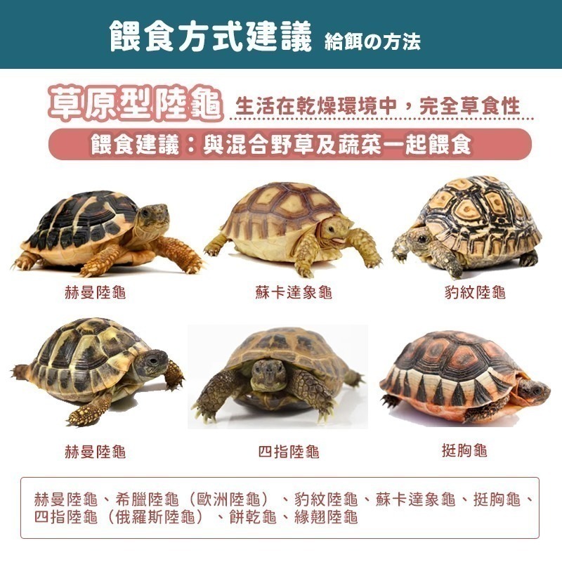 高夠力 陸龜飼料 高夠力飼料 陸龜健康蔬食 烏龜飼料 善玉菌 Hikari 高夠力 豹龜 赫曼 蘇卡達 斯里蘭卡 星龜-細節圖8