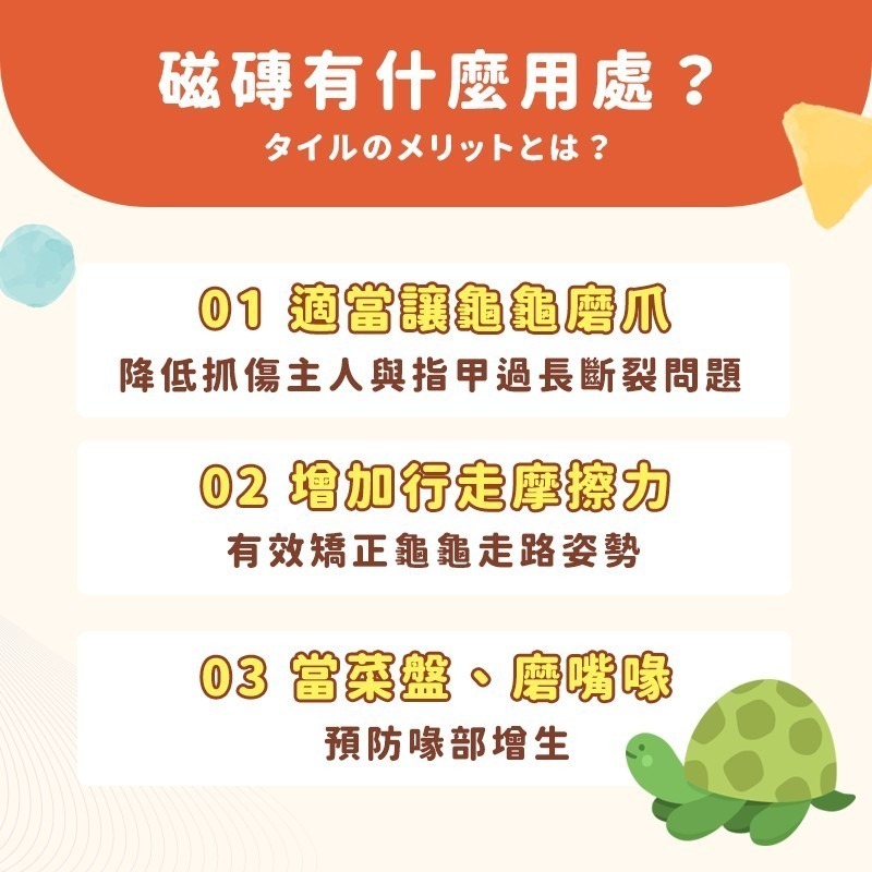 磁磚 止滑磁磚 陸龜磨指片 30*30CM 陸龜 磨甲板 蘇卡達 紅腿 陸龜食盆-細節圖2