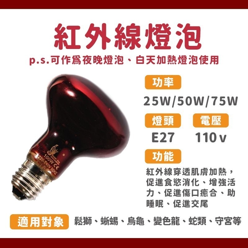 保溫燈泡【台灣24H出貨】加熱燈 110V 紅外線聚熱夜燈 加熱燈泡 聚光夜燈 蜥蜴 陸龜 爬蟲飼養箱 寵物保溫燈-細節圖8