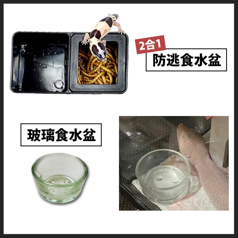 【２４Ｈ出貨】爬蟲食盆 爬蟲水盆 陸龜食盆 食盆 水盆 守宮水盆 兩棲餵食盤 守宮 蜥蜴 角蛙 蜘蛛 昆蟲 烏龜 蛇-細節圖5