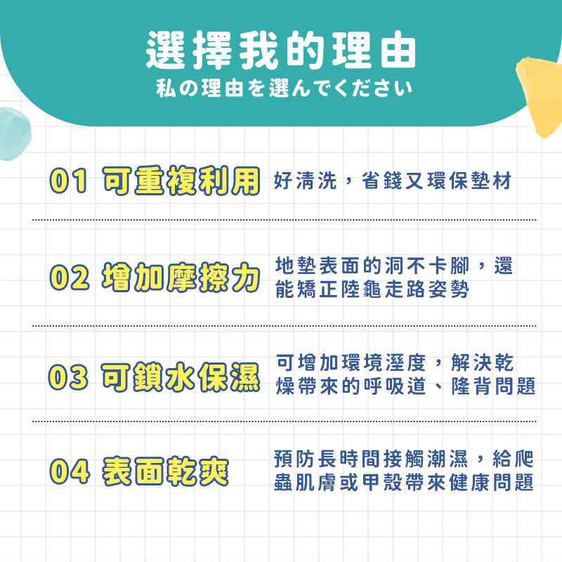 陸龜墊材【24H台灣出貨】三合一爬蟲地墊 飼養箱 爬蟲底材 陸龜保濕地墊 陸龜 蜥蜴 星龜 豹龜 蘇卡達 守宮 陸龜用品-細節圖2