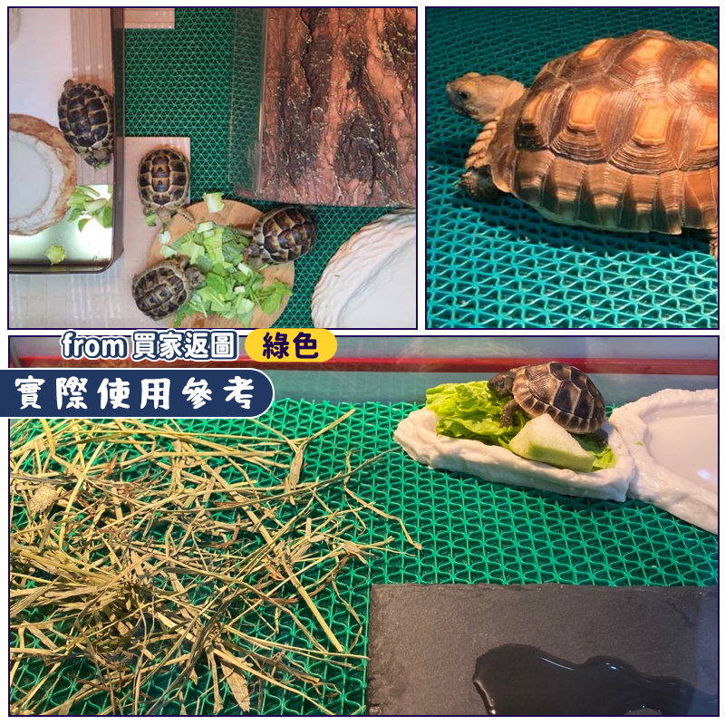 陸龜墊材【24H台灣出貨】三合一爬蟲地墊 飼養箱 爬蟲底材 陸龜保濕地墊 陸龜 蜥蜴 星龜 豹龜 蘇卡達 守宮 陸龜用品-細節圖8