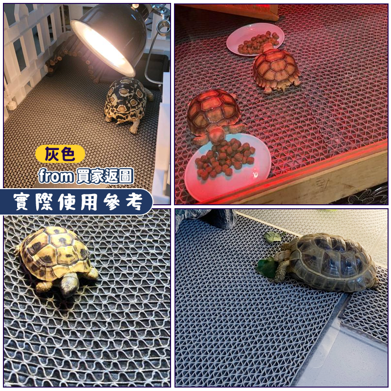 陸龜墊材【24H台灣出貨】三合一爬蟲地墊 飼養箱 爬蟲底材 陸龜保濕地墊 陸龜 蜥蜴 星龜 豹龜 蘇卡達 守宮 陸龜用品-細節圖9