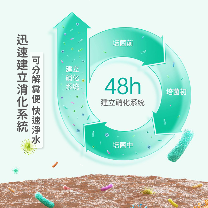 【24H出貨】陶瓷環 培菌球 生化球 魚缸濾材 石英球 培菌磚 細菌屋 培菌石 中空培菌球 濾材 6D　中性濾材-細節圖3