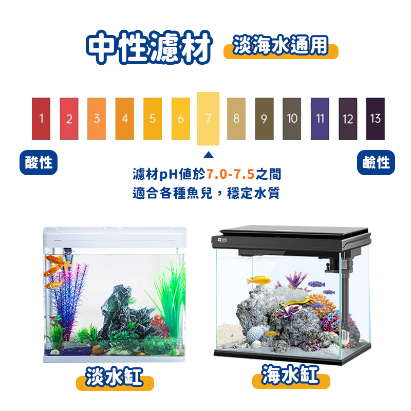 【24H出貨】陶瓷環 培菌球 生化球 魚缸濾材 石英球 培菌磚 細菌屋 培菌石 中空培菌球 濾材 6D　中性濾材-細節圖5