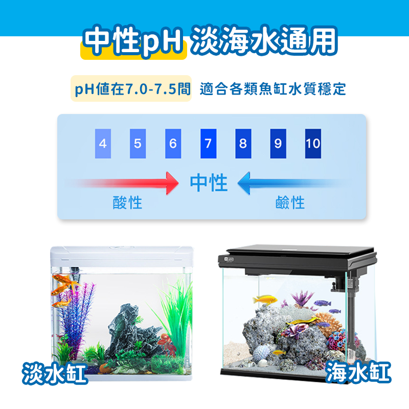 【24H出貨】陶瓷環 培菌球 培菌磚 生化球 魚缸濾材 石英球 細菌屋 培菌石 中空培菌球 濾材 中性濾材 培菌魔方-細節圖7