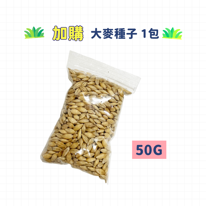 貓草-大麥種子 50g