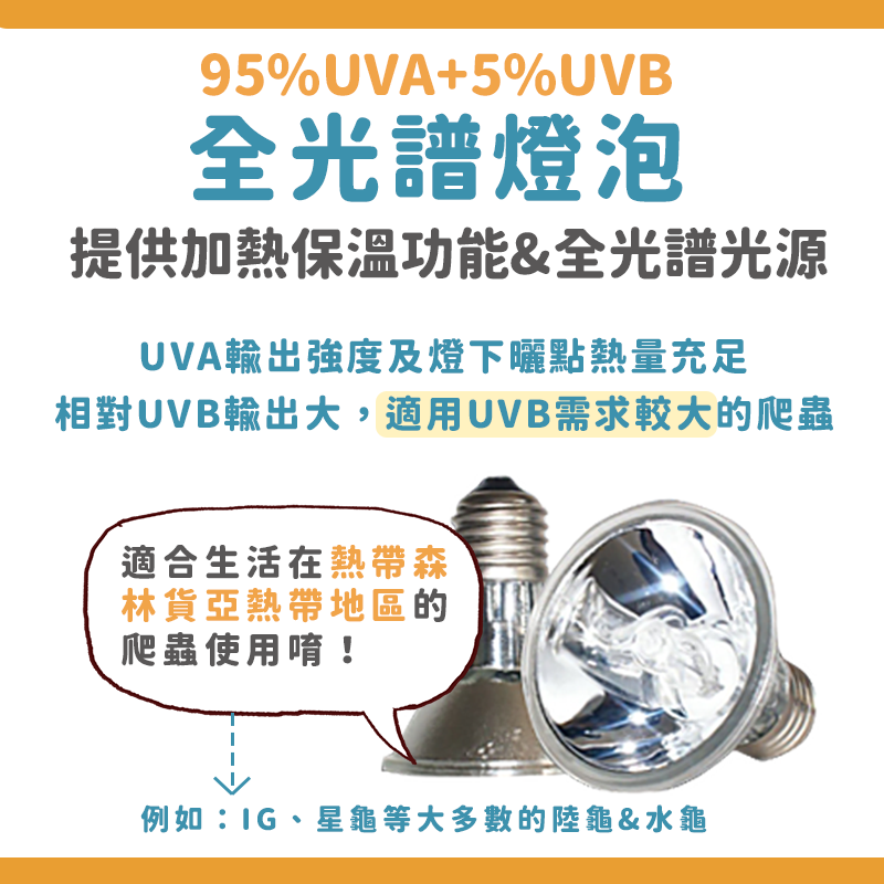 全光譜燈泡【24H台灣出貨】曬背燈 UVA UVB燈泡 太陽燈泡 UVB5.0燈泡 加熱燈泡 保溫燈泡 烏龜曬背燈 烏龜-細節圖4