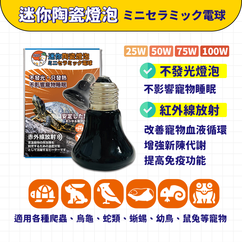 【24H出貨X 加熱穩定】保溫燈炮 陶瓷燈泡 寵物保溫燈泡 保暖燈泡 迷你陶瓷燈泡 E27燈頭 110V 燈罩 燈夾-細節圖2