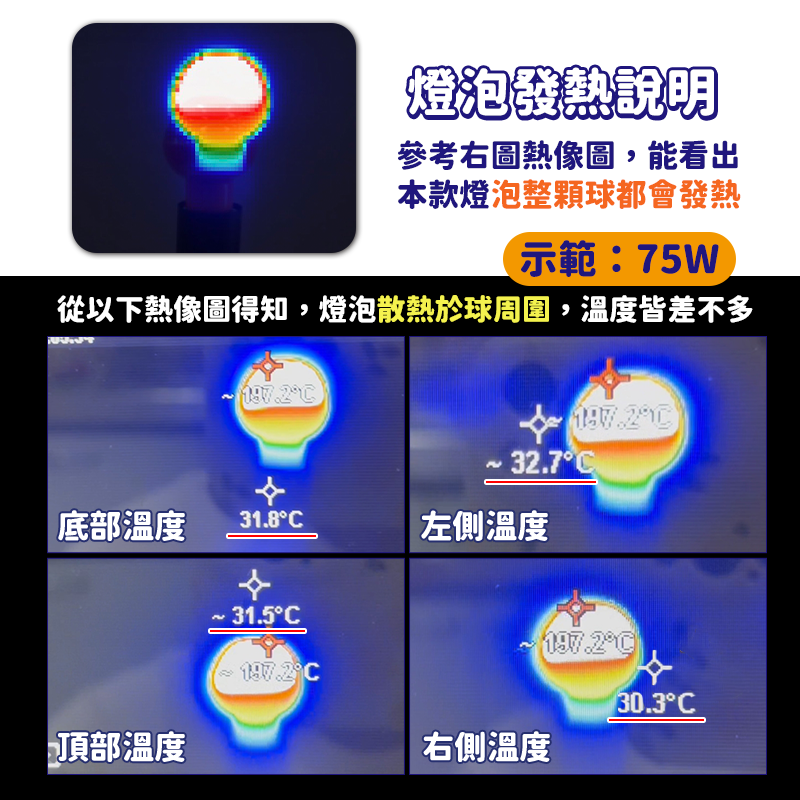 【保固３０天 X 加熱變色】陶瓷加熱燈 陶瓷燈 寵物保溫燈泡 保溫燈 無光 鸚鵡 倉鼠 貓狗保溫 兔 爬蟲 陸龜 圓球-細節圖5