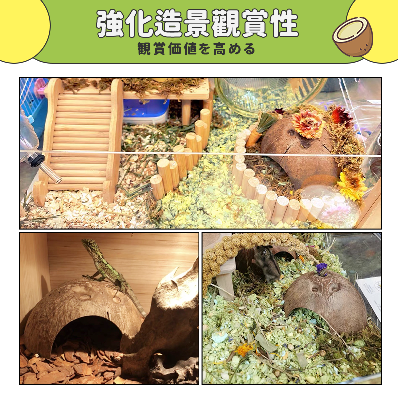 【高溫滅菌消毒】椰殼 躲避屋 倉鼠窩 躲避洞 守宮 椰殼洞穴 寄居蟹 蜥蜴 蜘蛛 蝎子 蜈蚣 椰殼躲避屋 椰殼窩-細節圖6