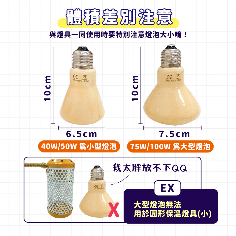 【 圓弧加熱面積⮭３０％】陶瓷燈泡 保溫燈泡 保溫燈 鸚鵡保溫燈 防燙陶瓷加熱燈 寵物保溫燈 倉鼠 刺蝟 兔子 蜜袋鼯-細節圖7