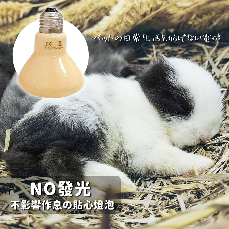【 圓弧加熱面積⮭３０％】陶瓷燈泡 保溫燈泡 保溫燈 鸚鵡保溫燈 防燙陶瓷加熱燈 寵物保溫燈 倉鼠 刺蝟 兔子 蜜袋鼯-細節圖9