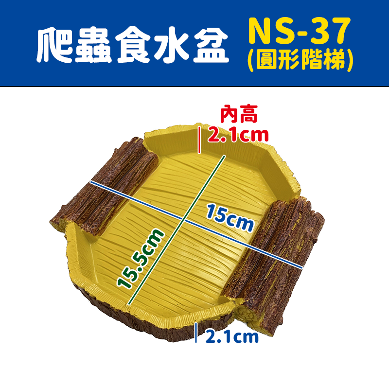 NS37 陸龜水盆(圓形階梯)