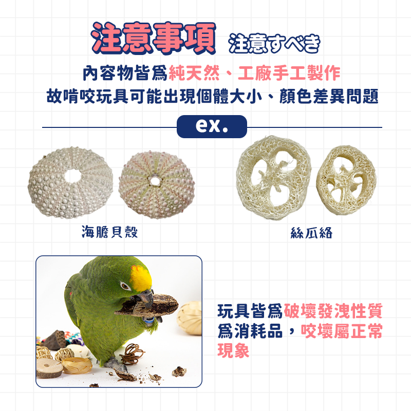 【15種原木X果核玩具組】鸚鵡玩具 鸚鵡啃咬玩具 果核 原木串 鳥玩具 折衷 玄鳳 灰鸚鵡 和尚鸚鵡 虎皮 巴丹 松果-細節圖8