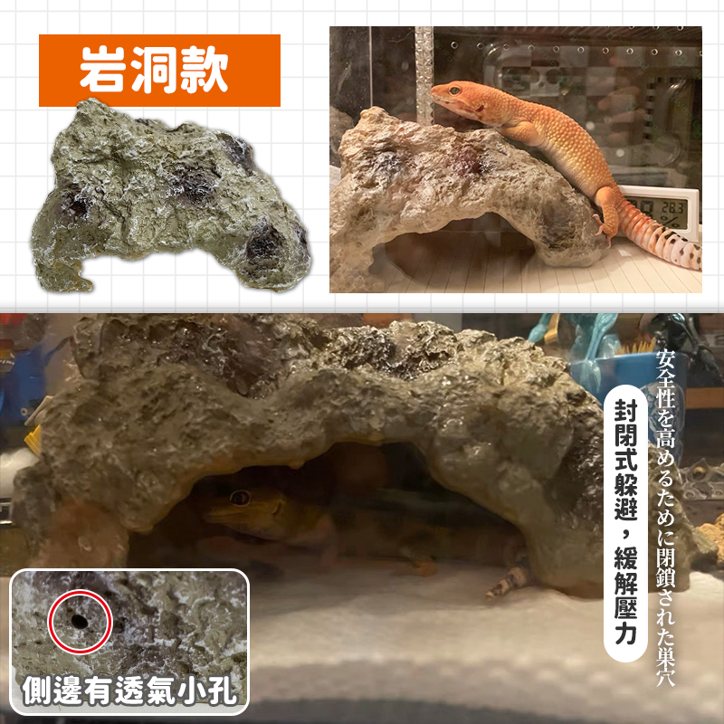 【仿真樺木樹洞】躲避屋 爬蟲躲避屋 爬蟲造景 躲避洞 倉鼠窩 守宮 蛇 烏龜 蜥蜴 兩棲 守宮盒 樹洞 樺木樹洞 岩洞-細節圖6